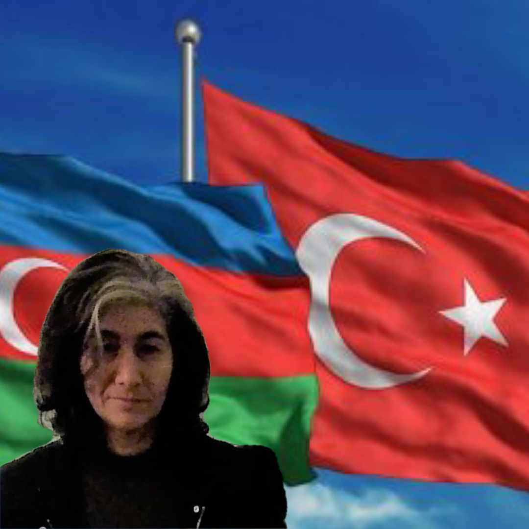 Tarih Araştırmacı Yazar Sevil İREVANLI